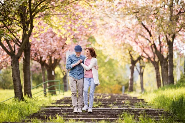 Krásný vyšší pár v lásce mimo v jarní přírodě. — Stock fotografie