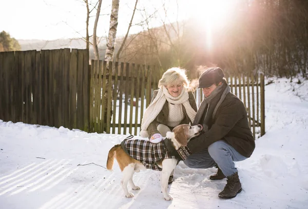 Krásná starší pár na procházku na slunný zimní den — Stock fotografie