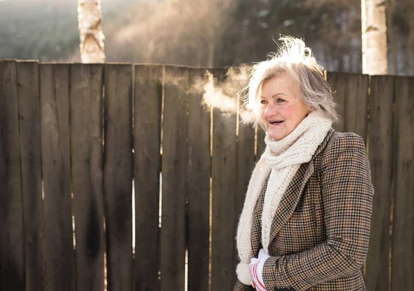 Vacker äldre kvinna på en promenad mot planket. — Stockfoto