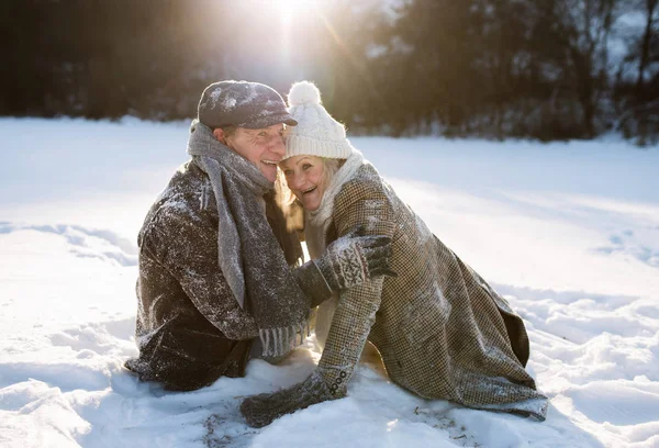 Mooie hoge paar in de zonnige winter natuur. — Stockfoto