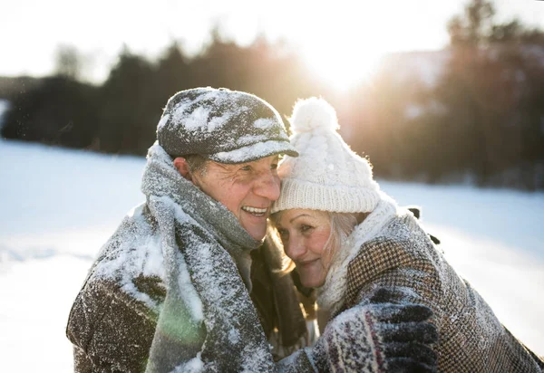 Vackra äldre par i soliga vintern naturen. — Stockfoto