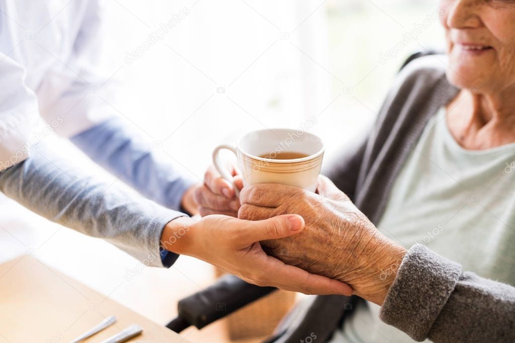 Health visitor and a senior woman during home visit.