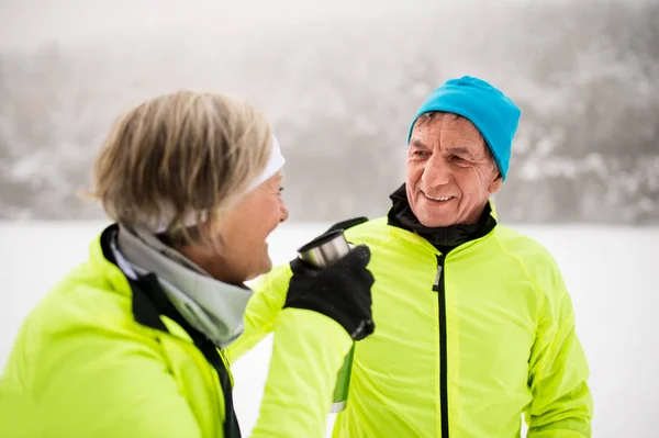 Senioren-Skilanglauf. — Stockfoto