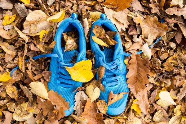 Μπλε εκπαιδευτών για πολύχρωμα φύλλα στο έδαφος. — Φωτογραφία Αρχείου