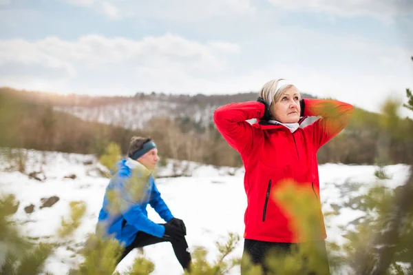 Senior pareja trotando en invierno naturaleza . — Foto de Stock