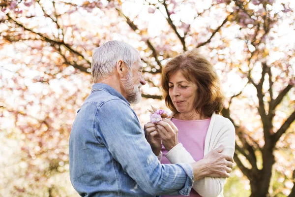 Vackra äldre par i kärlek utanför i vår natur. — Stockfoto