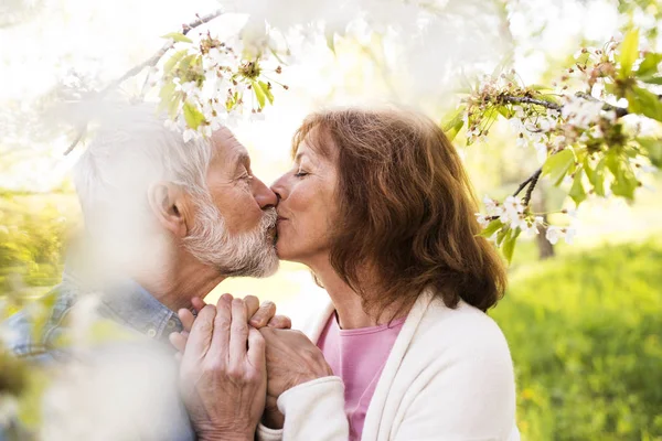 Äldre par i kärlek utanför i våren natur kyssar. — Stockfoto