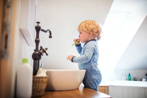 Söpö lapsi poika harjaamalla hampaitaan kylpyhuoneessa . — kuvapankkivalokuva