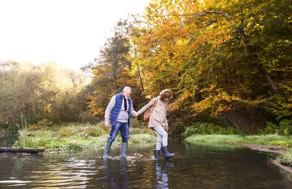Äldre par på en promenad i höstens natur. — Stockfoto