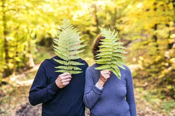Senior paar op een wandeling in de herfst bos. — Stockfoto