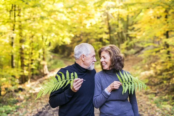 Äldre par på en promenad i höst skog. — Stockfoto