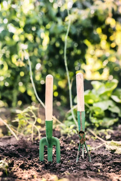 Composition of garden tools in the garden.