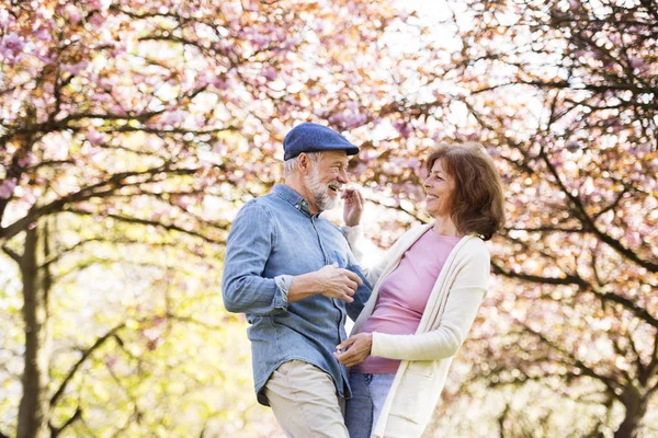 Casal sênior bonita no amor fora na natureza primavera . — Fotografia de Stock