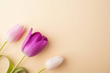 bej renkli arka plan üzerinde çiçekler.