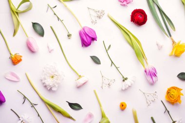 Beyaz arkaplanda çiçekler.