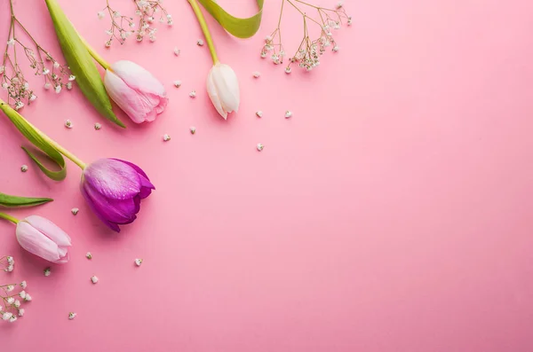 Rosa Blumen auf rosa Hintergrund. — Stockfoto