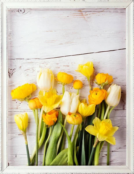 Gele bloemen op een witte houten achtergrond. — Stockfoto