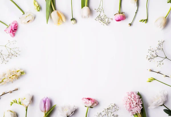 Blumen auf weißem Hintergrund. — Stockfoto