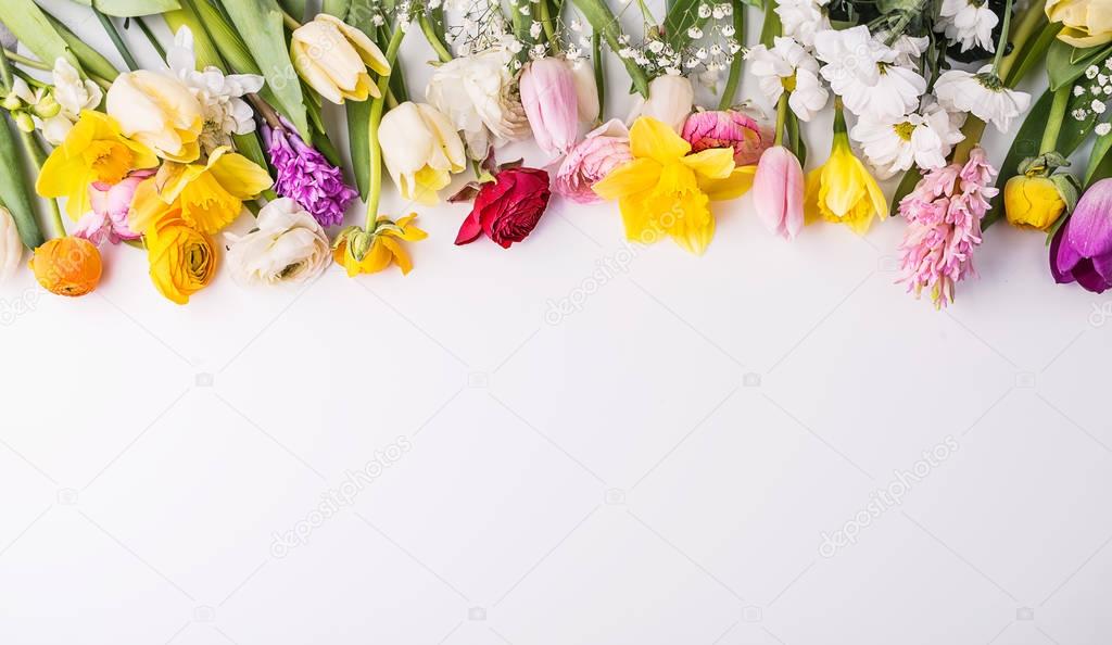 Flowers on a white background.