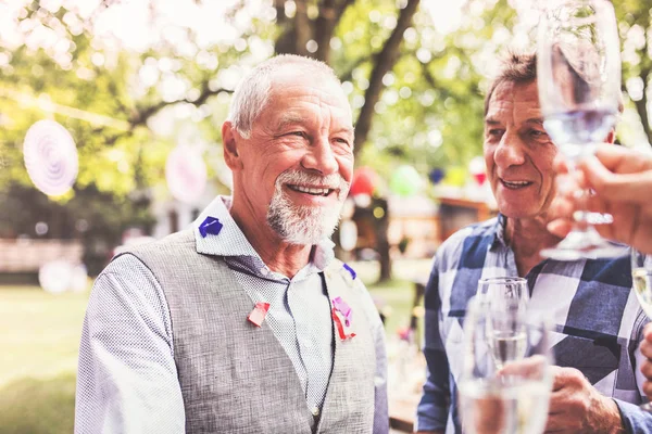 Family celebration or a garden party outside in the backyard. — Stock Photo, Image