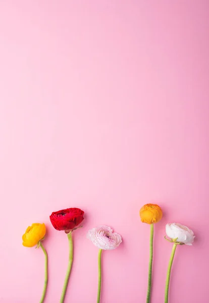 Easter and spring flat lay on a pink bacground. — Stock Photo, Image