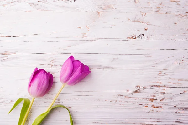 Easter and spring flat lay on a white wooden background. — Stock Photo, Image