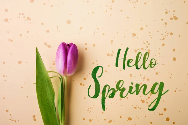 Bonjour phrase de printemps et fleur plat laïc . — Photo