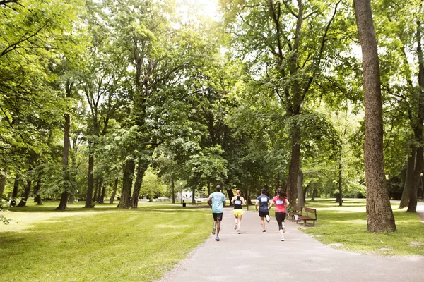 Grupo de jóvenes atletas corriendo en verde parque soleado . —  Fotos de Stock