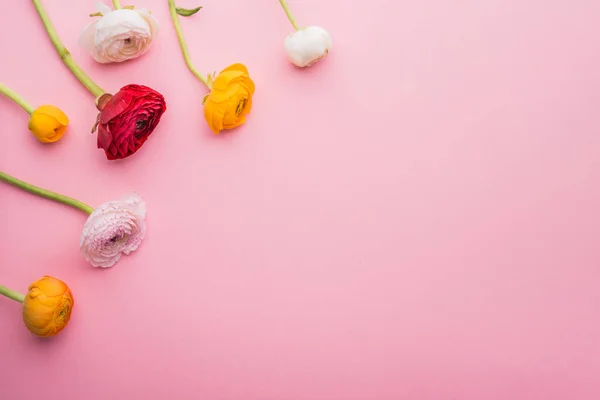 Easter and spring flat lay on a pink background. — Stock Photo, Image