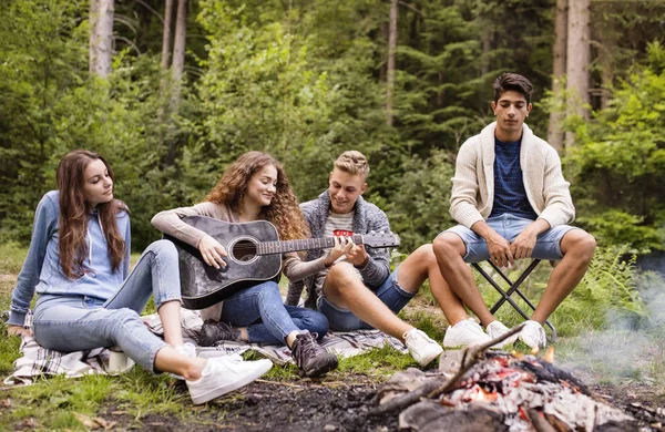 Teenagers wit a guitar camping in forest.