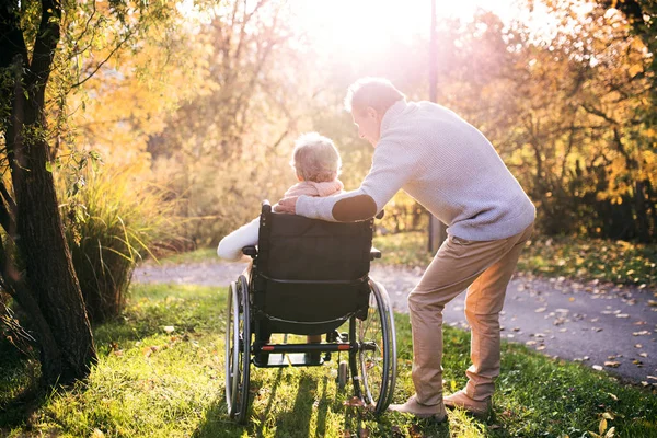 Senior homem e mulher em cadeira de rodas no outono natureza . — Fotografia de Stock