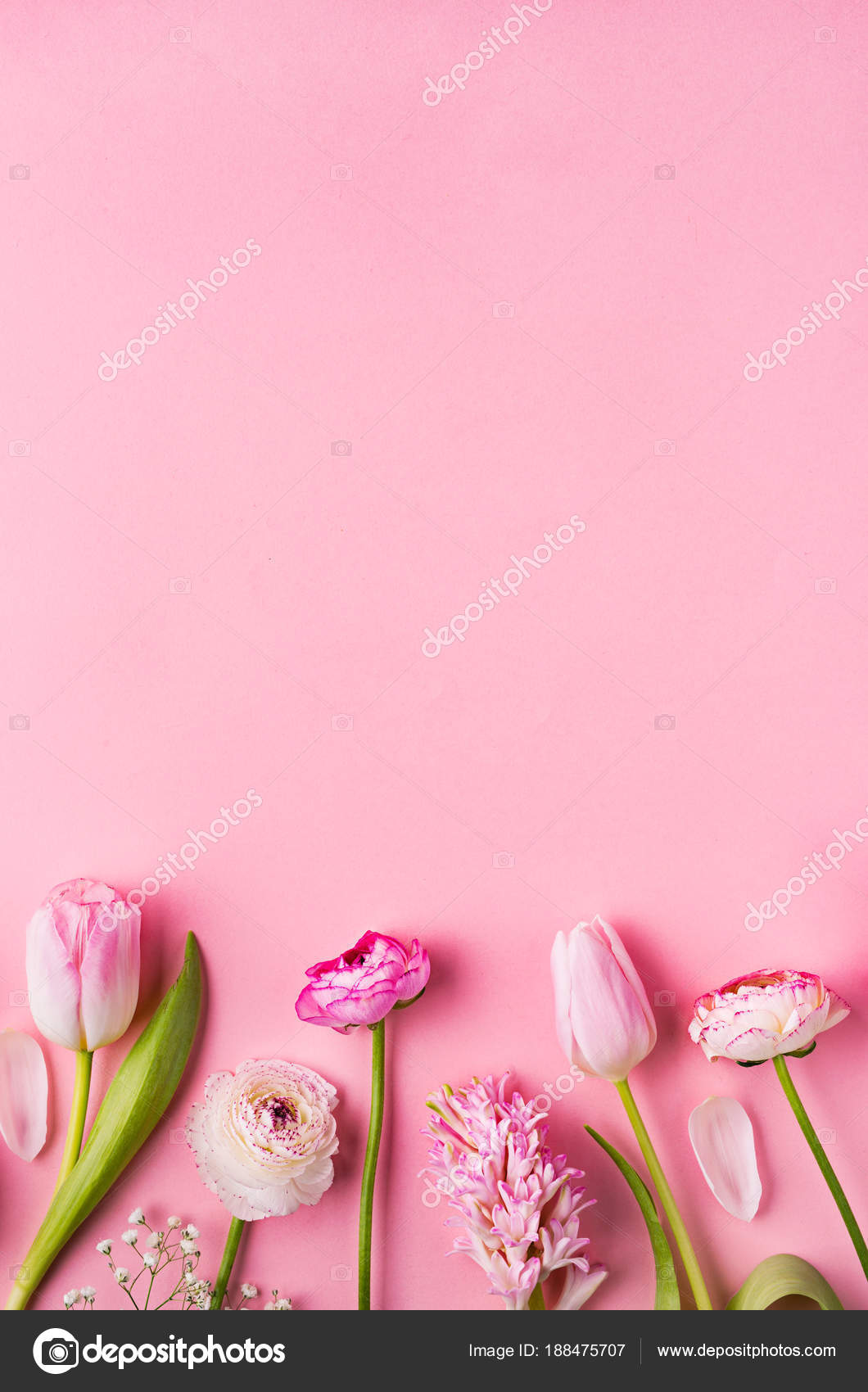 Pink flowers on a pink background. Flat Lay. Copy space. — Stock Photo ©  halfpoint #188475707, image size:1060x1700