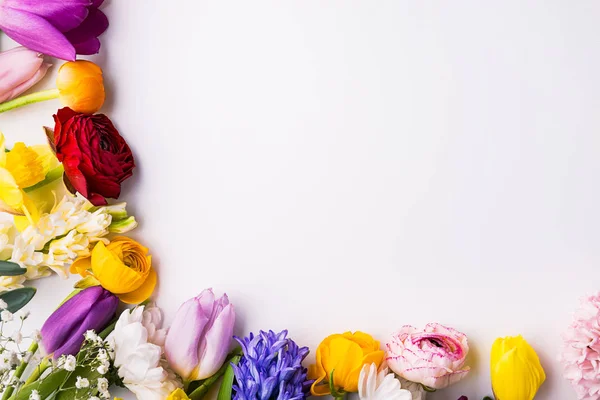 Flores sobre fondo blanco. Acostado. Copiar espacio . — Foto de Stock