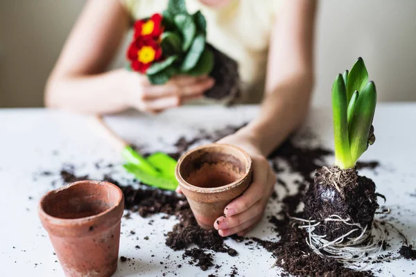 Young woman planting flower seedlings at home. — Stock Photo, Image