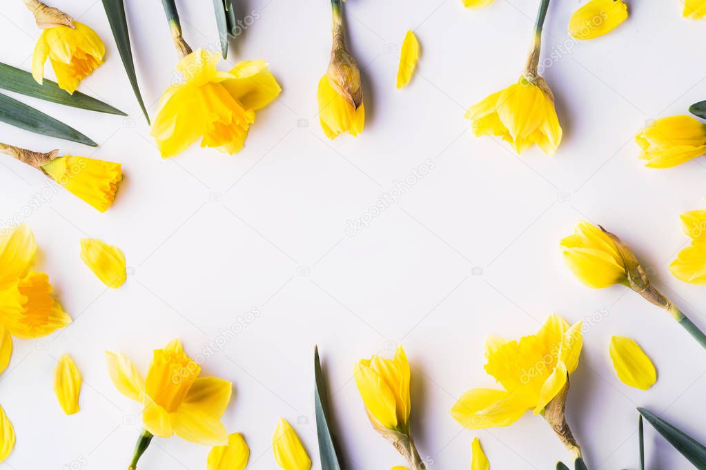 Yellow flowers on a white background. Copy space. Flat lay.