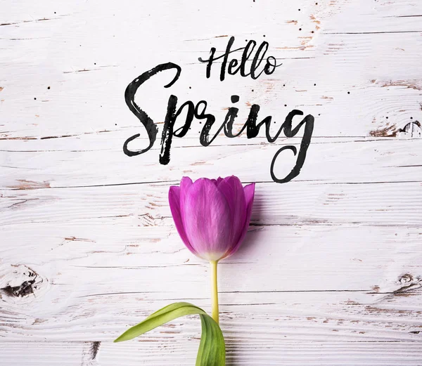 Pascua y primavera plana sobre un fondo de madera blanca . — Foto de Stock