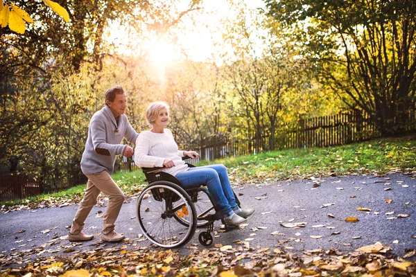 Старшая пара в инвалидной коляске на осенней природе . — стоковое фото