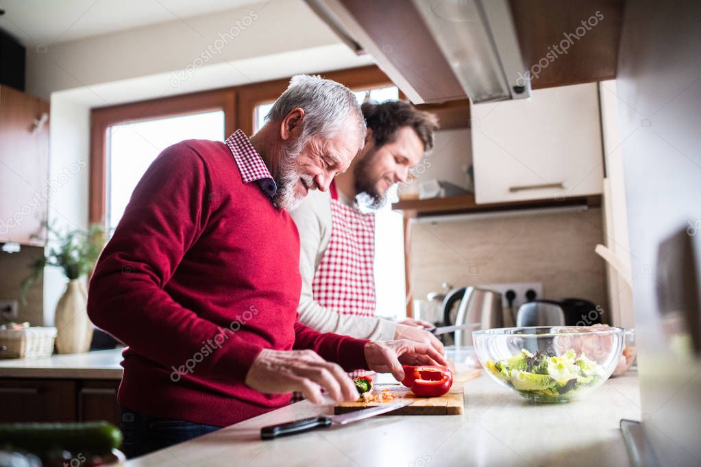 Hipster son with his senior father cooking in the kitchen.