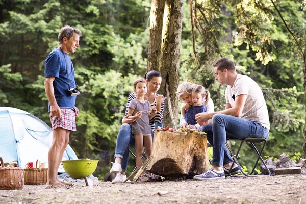 美しい家族の森でキャンプを一緒に食べる. — ストック写真