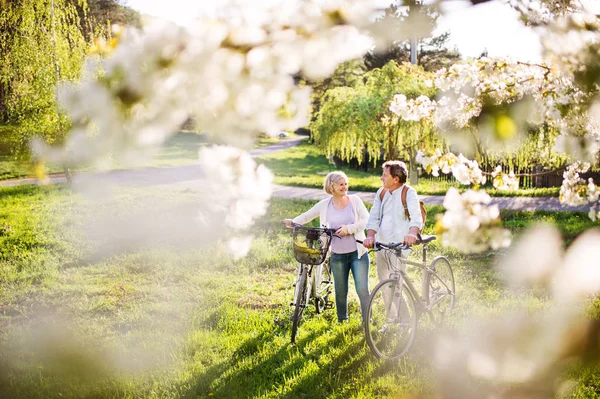 Hermosa pareja de ancianos con bicicletas al aire libre en la naturaleza de primavera . —  Fotos de Stock