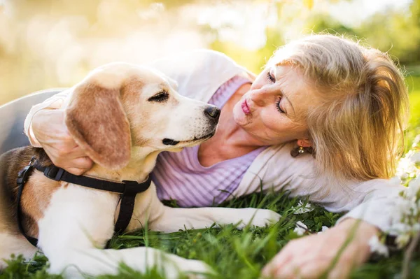 Beautiful senior woman with dog in spring nature. — Stock Photo, Image