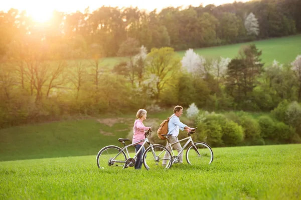 Hermosa pareja de ancianos con bicicletas al aire libre en la naturaleza de primavera . — Foto de Stock