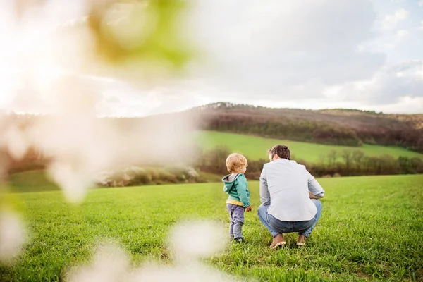 Bir baba oğluyla yürümeye başlayan çocuk dışında bahar doğa. — Stok fotoğraf