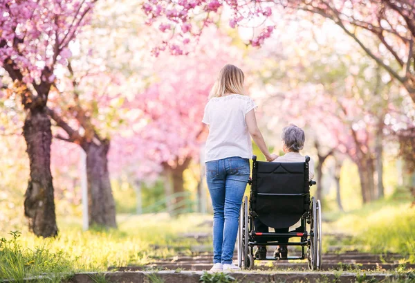 Grand-mère âgée en fauteuil roulant avec petite-fille au printemps nature . — Photo