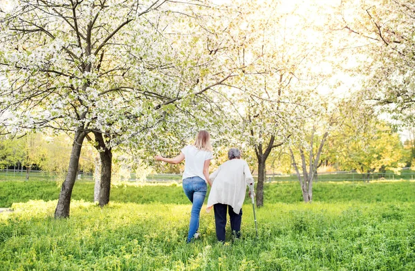 Podeszłym wieku babci z kuli i wnuczka w wiosna natura. — Zdjęcie stockowe