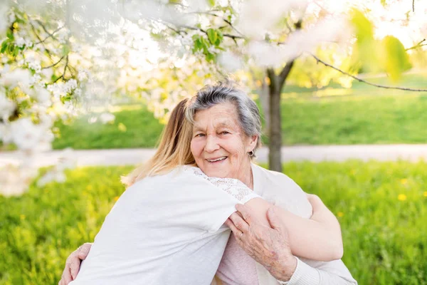 Alte Oma und Enkelin umarmen sich in frühlingshafter Natur. — Stockfoto