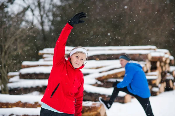 Seniorenpaar joggt in winterlicher Natur. — Stockfoto