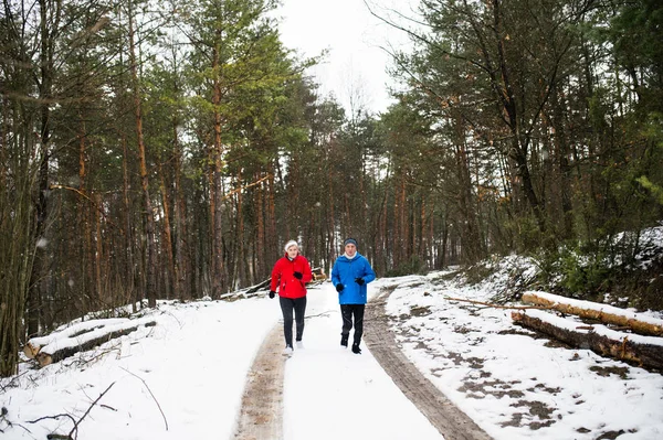 Starší pár, běhání v zimní přírodě. — Stock fotografie
