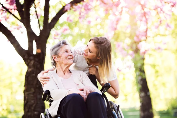 Anciana abuela en silla de ruedas con nieta en la naturaleza de primavera . —  Fotos de Stock