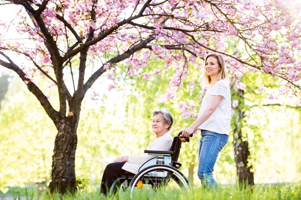 Grand-mère âgée en fauteuil roulant avec petite-fille au printemps nature . — Photo